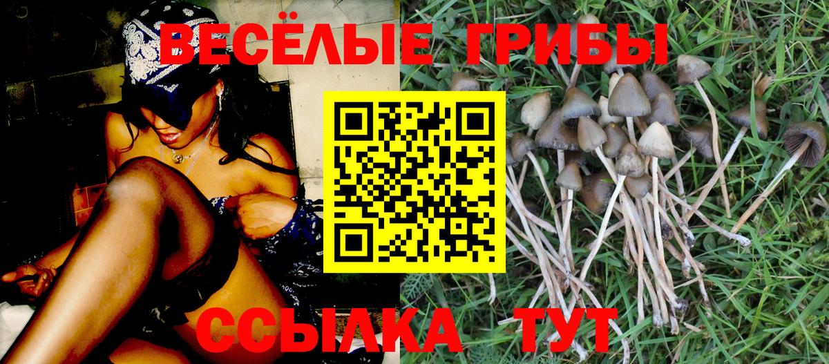 Псилоцибиновые грибы мухоморы  Вход с VPN  Протвино  Галлюциногенные грибы Magic Shrooms 